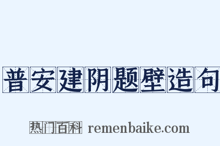 普安建阴题壁造句是什么意思的图片